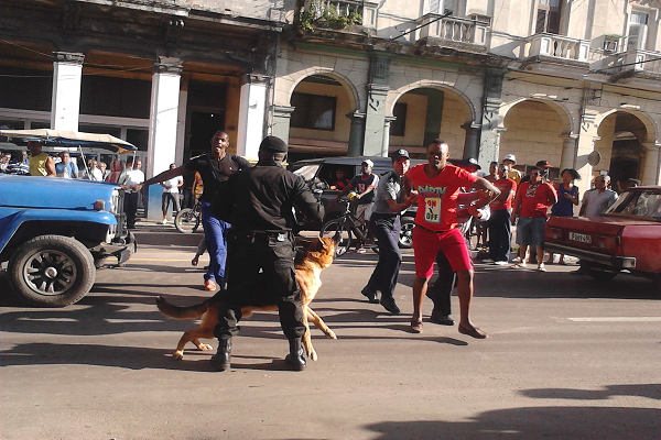 source: http://www.cubanet.org/noticias/tropas-elites-controlan-rinas-callejeras-con-perros/